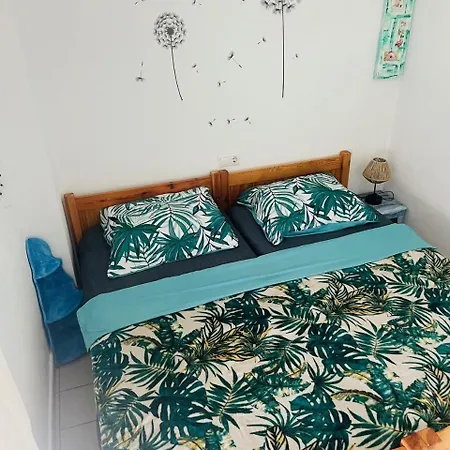 Palm - La Calma Apartmán *