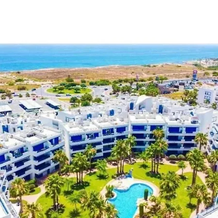 Palm - La Calma Playa Flamenca