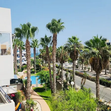 Palm - La Calma * Playa Flamenca