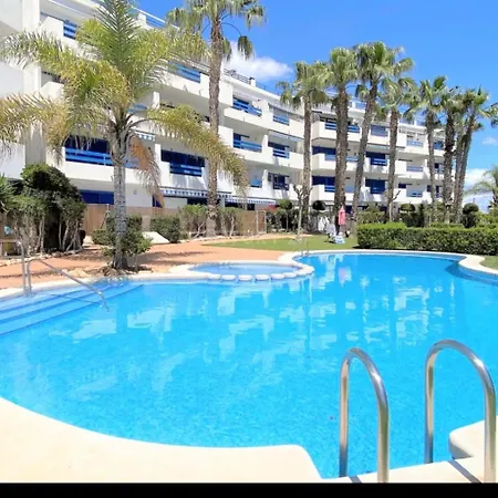 Palm - La Calma Playa Flamenca
