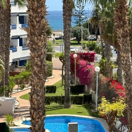 Palm - La Calma Playa Flamenca