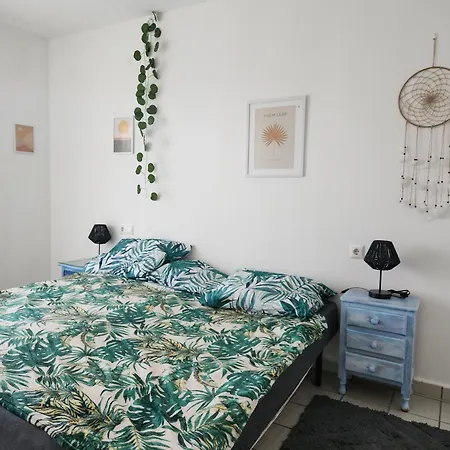 Palm - La Calma Apartmán